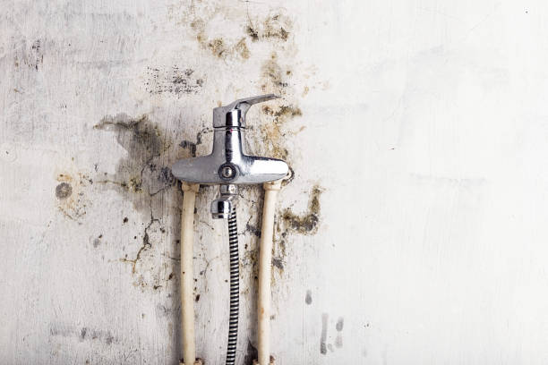 Best Local Mold Removal Service  in Shil, OH