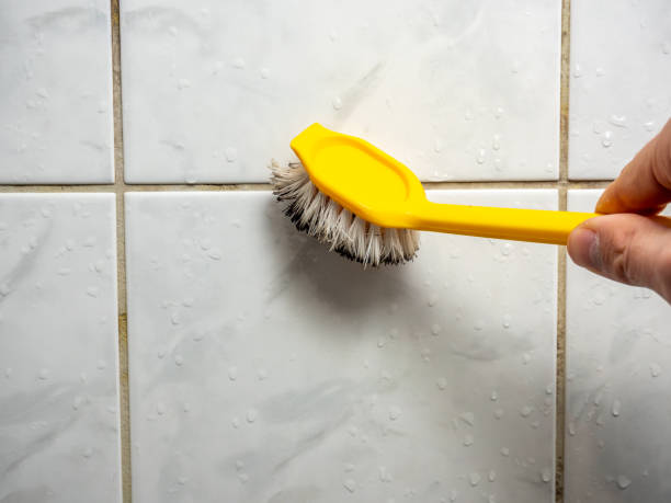 Best Mold Cleaning Services  in Shil, OH