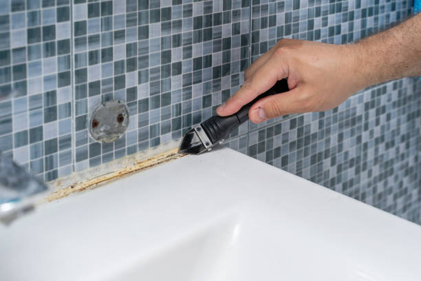 Best Commercial Mold Removal  in Shil, OH